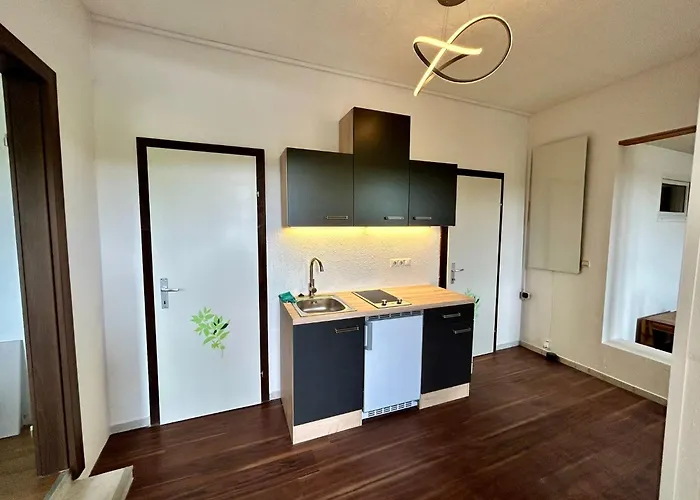 Maximilian Apartament *